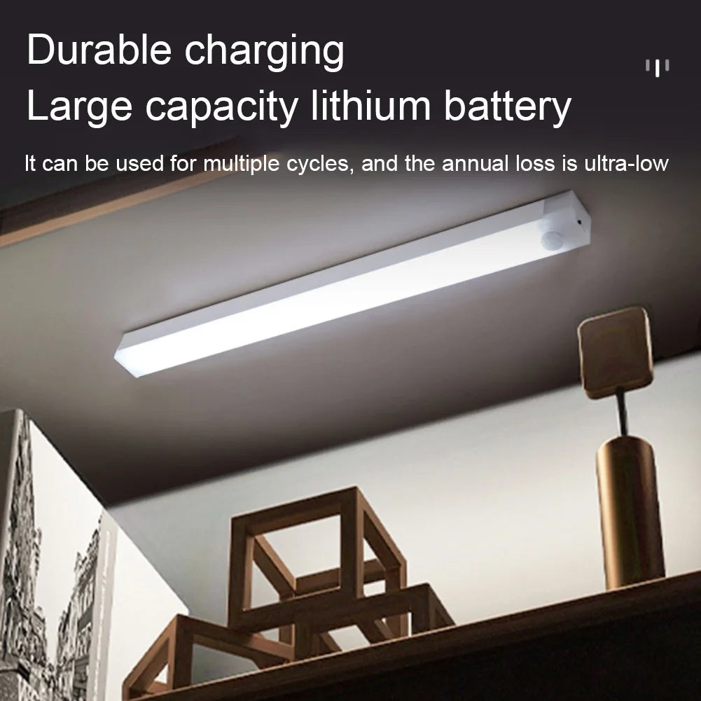 LED motion sensor light