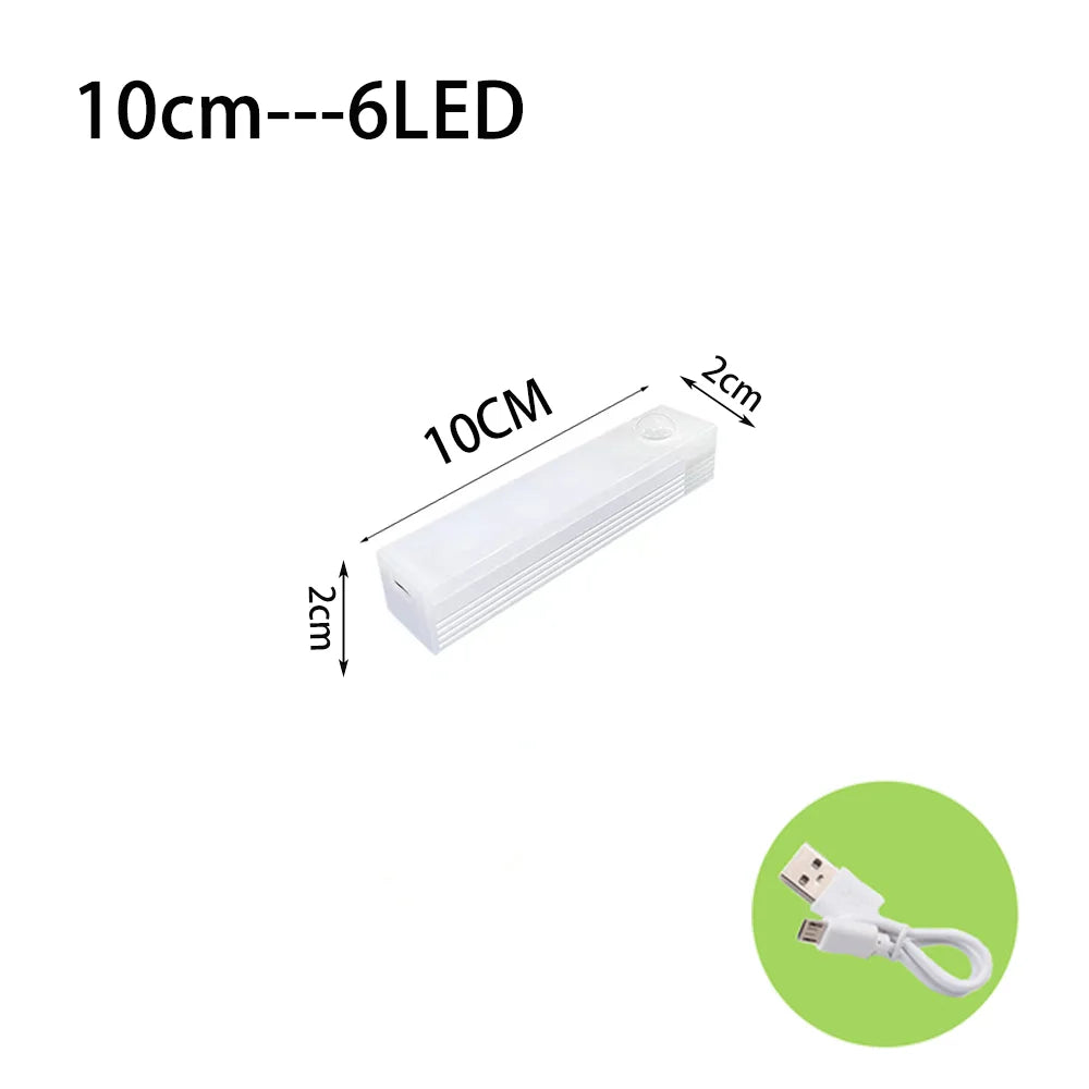 LED motion sensor light